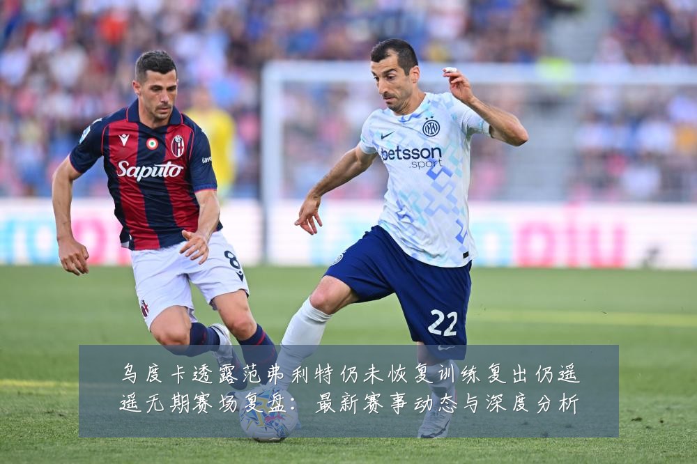 乌度卡透露范弗利特仍未恢复训练复出仍遥遥无期赛场复盘:最新赛事动态与深度分析